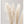 Tablou înramat „Pampas Grass Grey 02” de Pictufy Studio III
