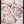 Tablou înramat „Pink Roses No 01” de Pictufy Studio III