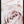 Tablou înramat „Pink Rose No 05” de Pictufy Studio III
