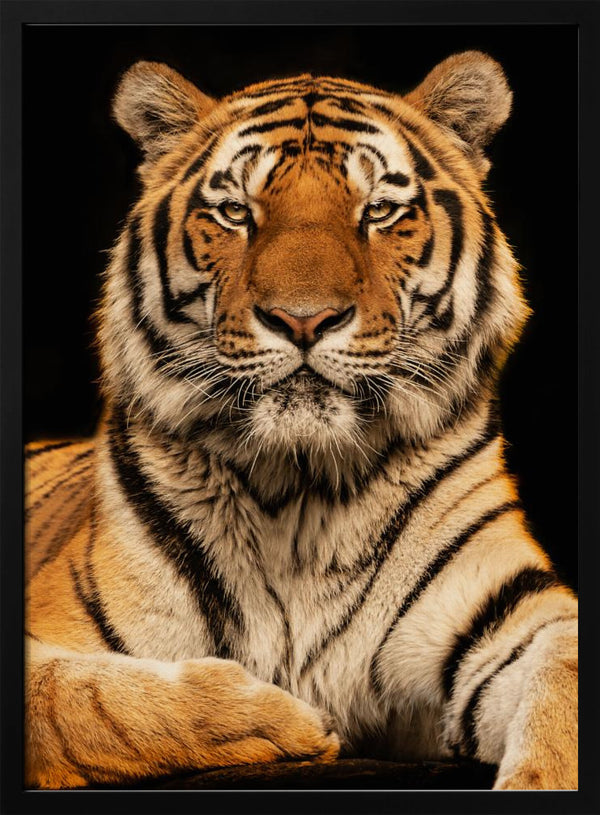 Tablou înramat „I c U” de Jörg Zimmermann