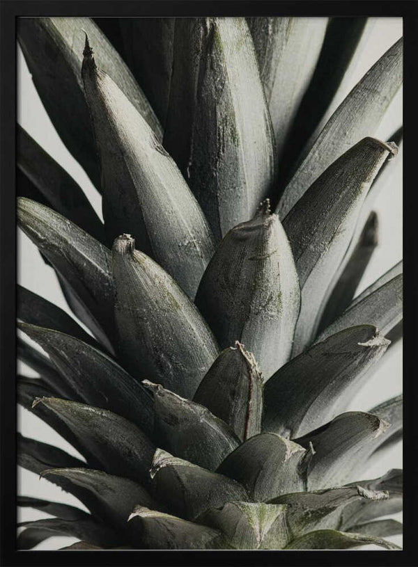 Tablou înramat „Pineapple close up” de Pictufy Studio III
