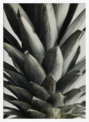 Tablou înramat „Pineapple close up” de Pictufy Studio III