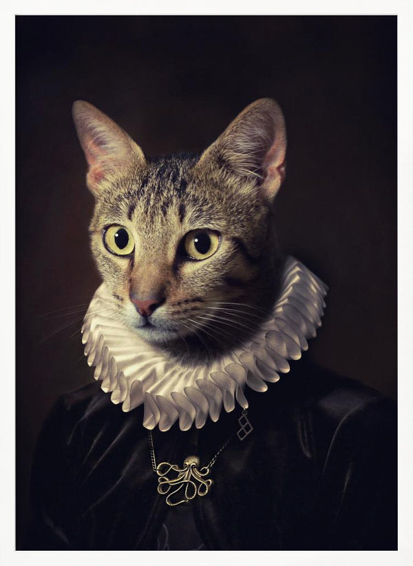 Tablou înramat „Sir Kiko” de Paulo Dias