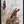 Tablou înramat „Dried_001” de Pictufy Studio III