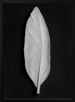 Tablou înramat „Feather_008” de Pictufy Studio III