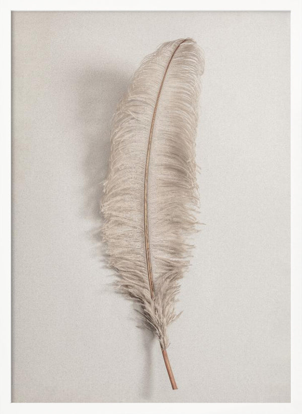 Tablou înramat „Feather_002” de Pictufy Studio III