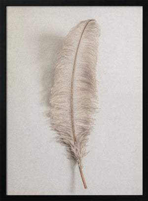 Tablou înramat „Feather_002” de Pictufy Studio III