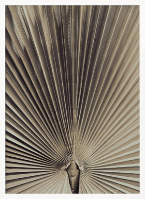 Tablou înramat „Palmblad_001” de Pictufy Studio III