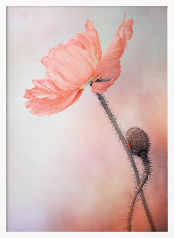 Tablou înramat „Tenderness” de Lenka