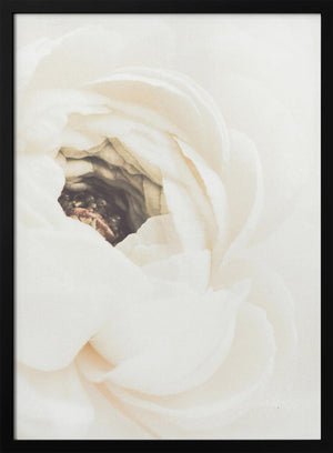 Tablou înramat „White Flower 01” de Pictufy Studio III