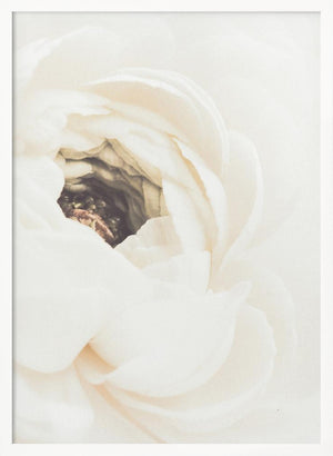 Tablou înramat „White Flower 01” de Pictufy Studio III