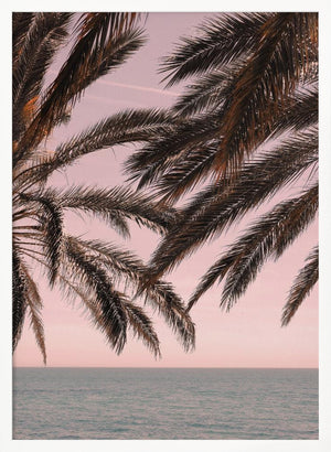 Tablou înramat „Palm_011” de Pictufy Studio III