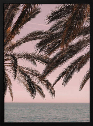 Tablou înramat „Palm_011” de Pictufy Studio III