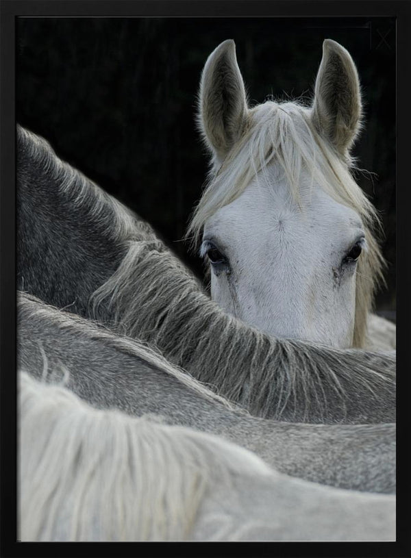 Tablou înramat „Look” de Milan Malovrh