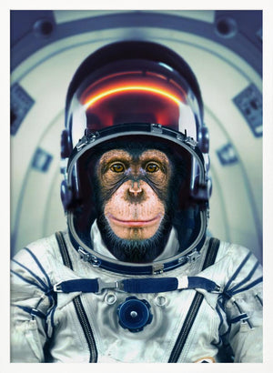 Tablou înramat „AstroMonkey” de Marcel Egger