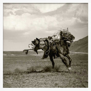 Tablou înramat „Galloping” de Rachel Pansky