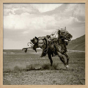 Tablou înramat „Galloping” de Rachel Pansky