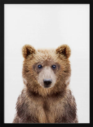 Tablou înramat „Baby Bear” de Kathrin Pienaar