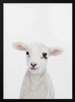 Tablou înramat „Baby Lamb” de Kathrin Pienaar