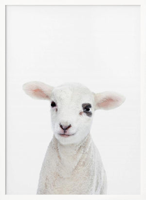 Tablou înramat „Baby Lamb” de Kathrin Pienaar