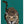 Tablou înramat „Curious green leopard” de Sarah Manovski