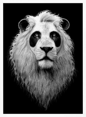 Tablou înramat „PANDALION” de Adam Lawless