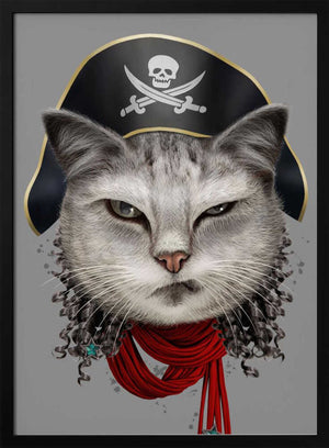 Tablou înramat „pirate” de Adam Lawless