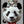 Tablou înramat „cat on panda bear” de Adam Lawless