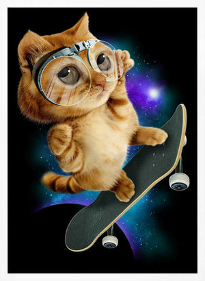 Tablou înramat „cat on skateboard” de Adam Lawless