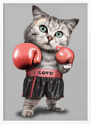Tablou înramat „boxing cat” de Adam Lawless