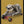 Tablou înramat „sloth on skateboard” de Adam Lawless