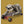 Tablou înramat „sloth on skateboard” de Adam Lawless