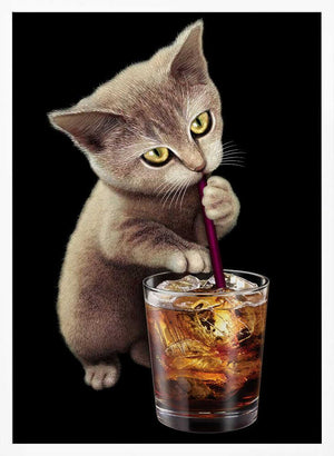 Tablou înramat „cat and soft drink” de Adam Lawless
