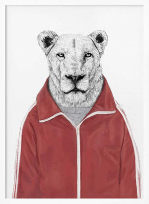 Tablou înramat „Sporty Lion” de Balazs Solti