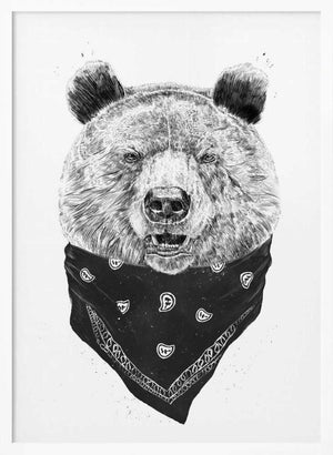 Tablou înramat „Wild bear” de Balazs Solti