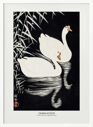 Tablou înramat „White Chinese Geese Swimming by Reeds” de Ohara Koson
