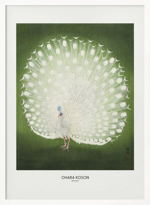 Tablou înramat „Peacock - Wide” de Ohara Koson