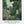 Tablou înramat „The Equatorial Jungle” de Henri Rousseau