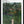 Tablou înramat „Femme Se Promenant Dans Une Foret Exotique” de Henri Rousseau