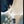 Tablou înramat „Blue Beauty-1” de Sally Ann Moss