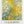 Tablou înramat „The Path Through The Irises” de Claude Monet