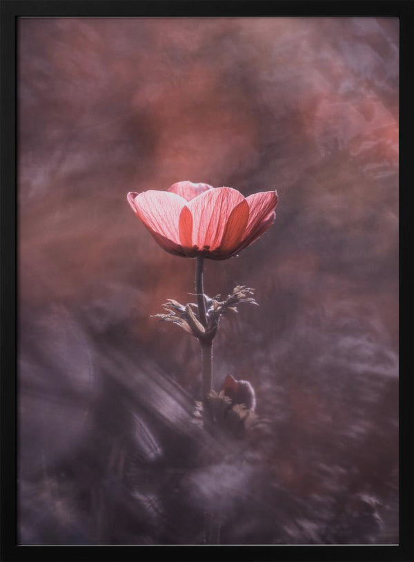 Tablou înramat „Ardente” de Fabien BRAVIN