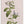 Tablou înramat „Botanical cycling” de Frida Floral Studio