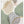 Tablou înramat „Calm green- 3” de Sally Ann Moss
