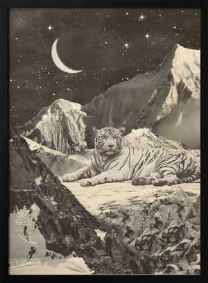 Tablou înramat „Giant White Tiger” de Florent Bodart
