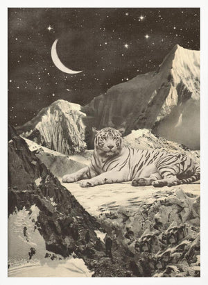 Tablou înramat „Giant White Tiger” de Florent Bodart