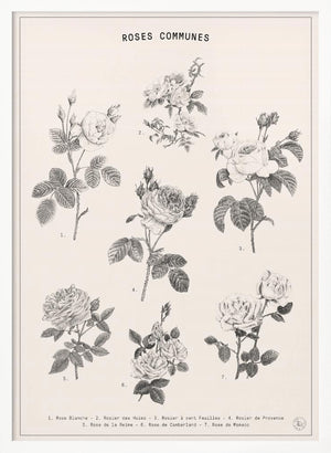 Tablou înramat „Roses” de Florent Bodart