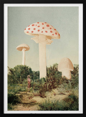 Tablou înramat „The Finest Giant Mushroom” de Florent Bodart