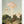 Tablou înramat „The Finest Giant Mushroom” de Florent Bodart