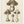 Tablou înramat „Agaricus Bulbosus Illustration. Medical Botany 1836” de John Stephenson and James Morss Churchill